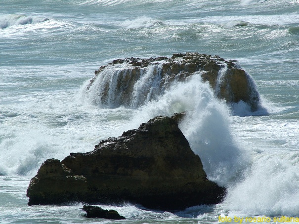 Concerie in tempesta...